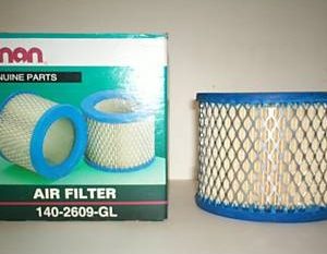 Filtre à air du générateur - Cummins Power Generation - 48-2025