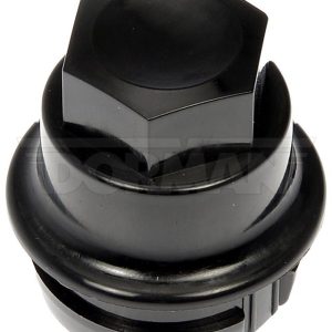 Lug Nut Cover - AutoGrade - Dorman - 611-959