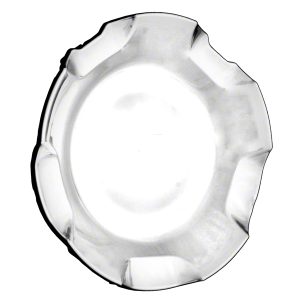Wheel Center Cap - Lugs Not Exposed - Coast To Coast - IWCC5308