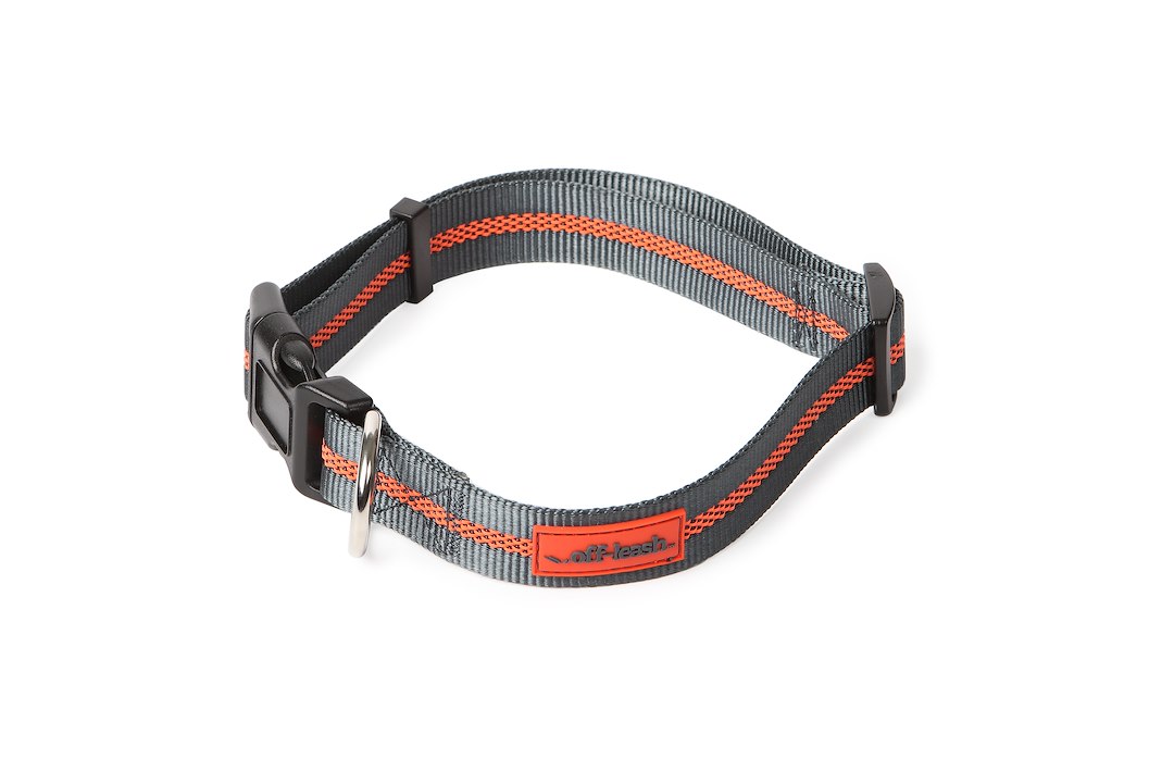 Laisse pour animal de compagnie - Dexas International - 03-2360